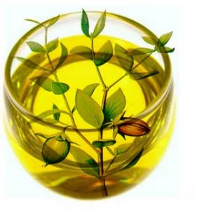 jojoba-bio-huile-biologique-cheveux-peaux-vegetale-naturelle-hydrater-nourrir-acne-propriete-vertu-soin-anti-rides HUILE DE JOJOBA POUR CHEVEUX ET CORPS - SANS PARABEN