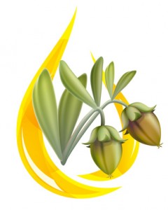 Huile de Jojoba bio antioxydante
