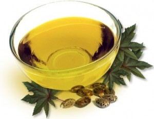 Huile végétale Jojoba bio (Simmondsia chinensis)